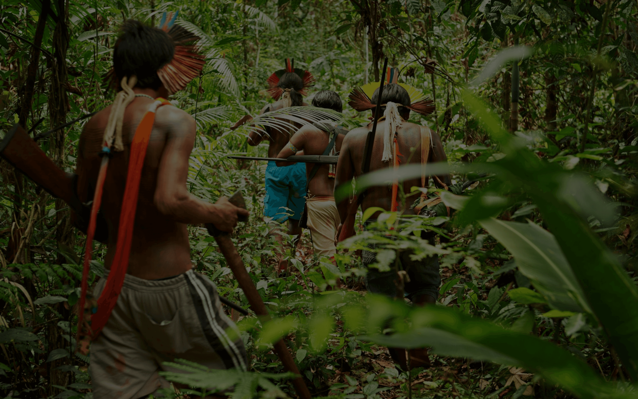 Indigenous people with feather headwear walk through a dense jungle, one carrying a rifle.