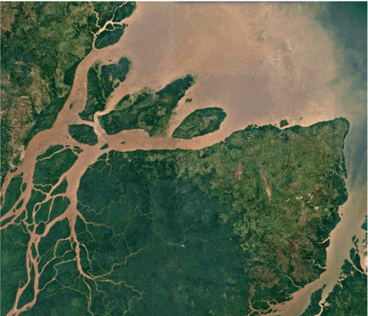 an aerial view of a large body of water surrounded by trees