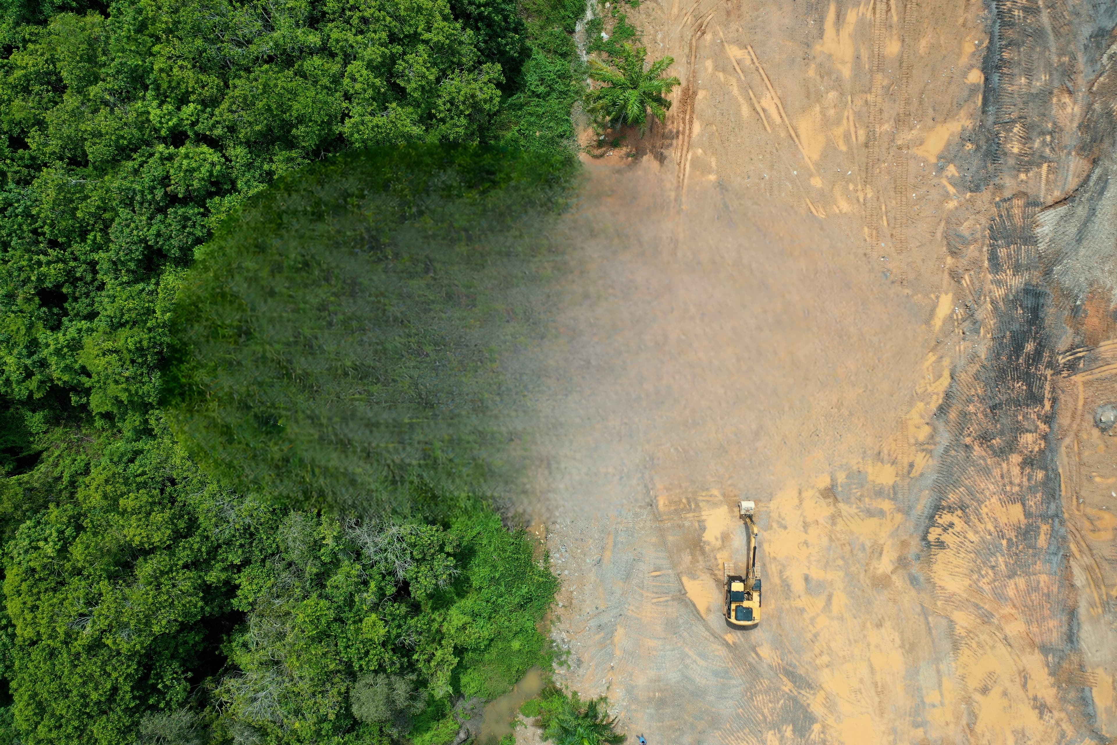 Aerial view showing a sharp contrast between dense forest and deforested land with an excavator.